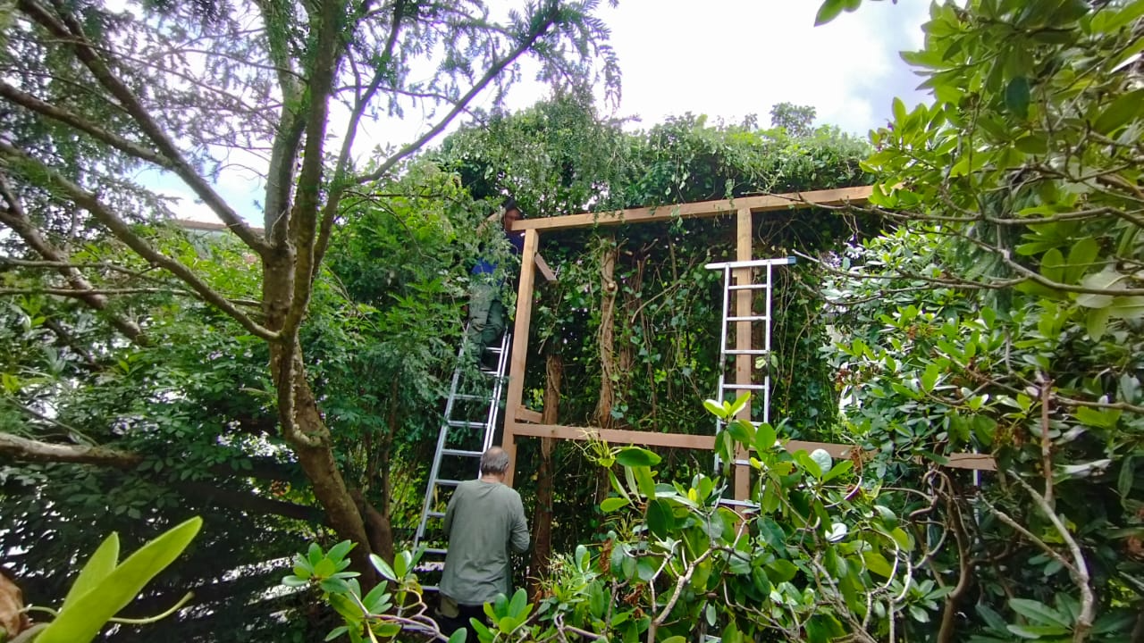 Hochbaugerüst auf Anfrage