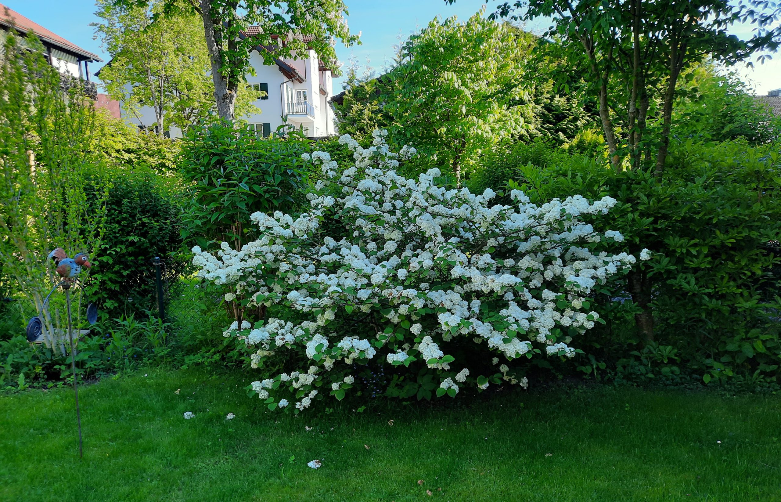 Garten und Pflanzepflege